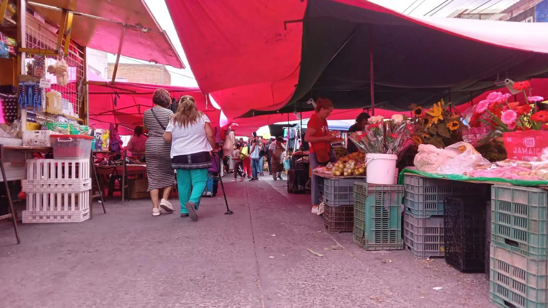 tianguis en SLP